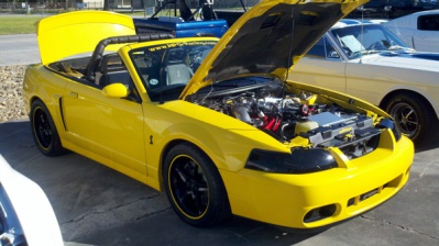 cobra2